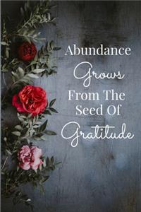 Abundance Grows From The Seed Of Gratitude