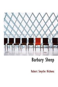 Barbary Sheep