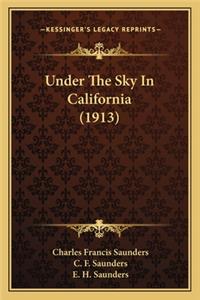 Under the Sky in California (1913)