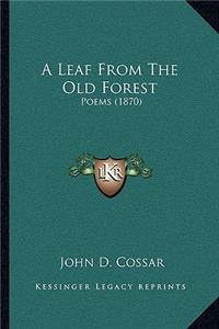 Leaf From The Old Forest