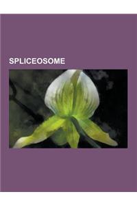 Spliceosome: Alternative Splicing, Ascc3l1, Aspicdb, Dbass3-5, Ddx17, Ddx23, Ddx27, Edas, Exon, Exon-Intron Database, Exon Junction