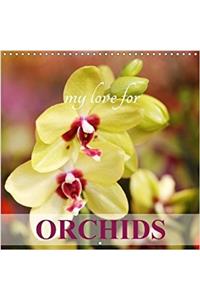 My Love for Orchids 2018
