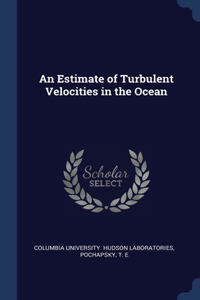 Estimate of Turbulent Velocities in the Ocean