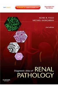 Diagnostic Atlas of Renal Pathology