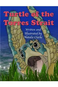 Turtle of the Torres Strait