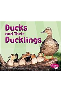 Ducks and Their Ducklings