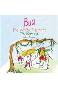 Bua the White Elephant