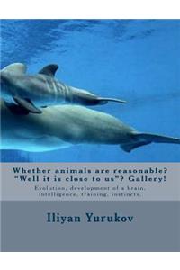 Whether animals are reasonable? 