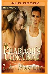 Pharaoh's Concubine