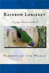 Rainbow Lorikeet