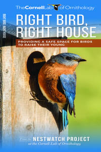Right Bird, Right House