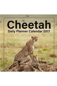 Cheetah