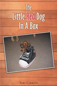Little Red Dog In A Box