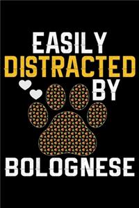 Easily Distracted by Bolognese