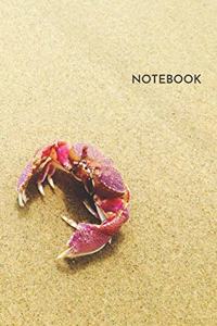 Crustacean Notebook