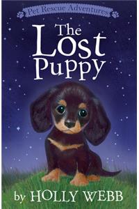 The Lost Puppy