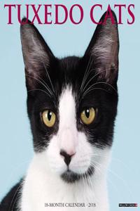 Just Tuxedo Cats 2018 Wall Calendar