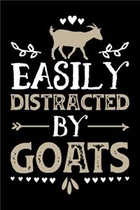 Easily Distracted By Goats