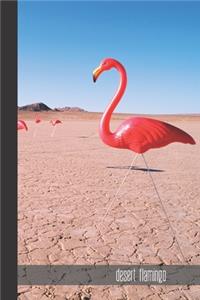 Desert Flamingo