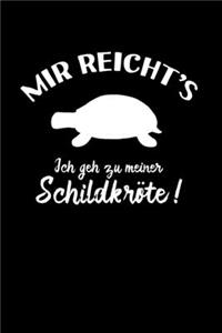 Schildkröte