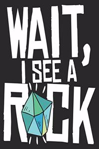Wait, I See A Rock