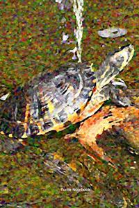 Turtle Notebook