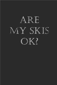 Are My Skis Ok?