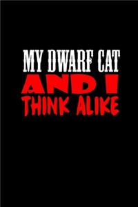 My dwarf cat and I think alike