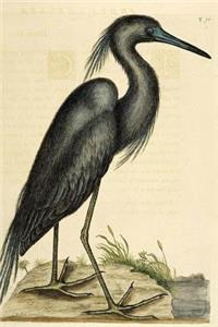 Journal: Heron