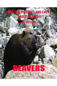 Beavers: Amazing Pictures and Facts about Beavers