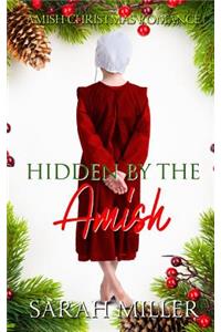 Hidden by the Amish