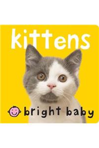 Bright Baby: Kittens