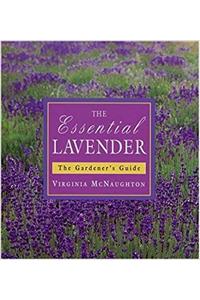 Essential Lavendar