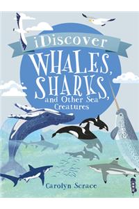 Whales and Sharks