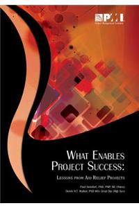 What Enables Project Success