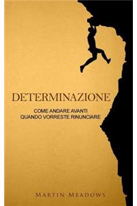 Determinazione