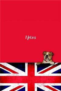 NOTES, english bulldog lined writing notebook