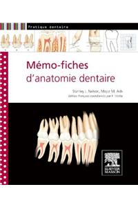 Mémo-fiches d'anatomie dentaire