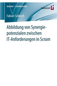 Abbildung Von Synergiepotenzialen Zwischen It-Anforderungen in Scrum