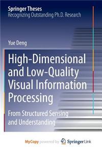 High-Dimensional and Low-Quality Visual Information Processing