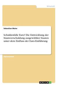 Schuldenfalle Euro? Die Entwicklung der Staatsverschuldung ausgewählter Staaten unter dem Einfluss der Euro-Einführung