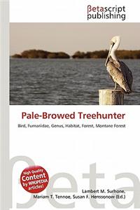 Pale-Browed Treehunter