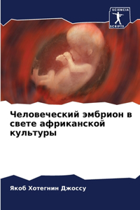 Человеческий эмбрион в свете африканской