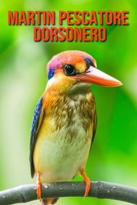 Martin pescatore dorsonero