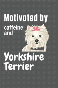 Motivated by caffeine and Yorkshire Terrier