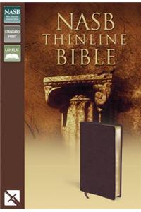 Thinline Bible-NASB