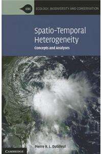 Spatio-Temporal Heterogeneity