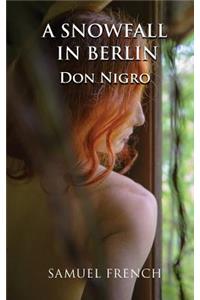 A Snowfall in Berlin