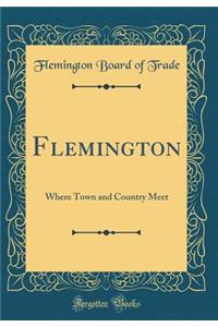 Flemington: Where Town and Country Meet (Classic Reprint)
