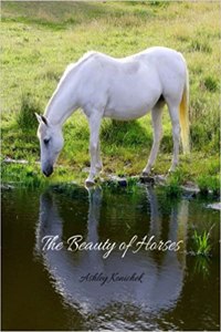 The Beauty of Horses